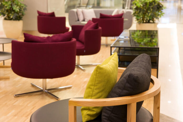 Is Trees and Trends Going Out of Business?